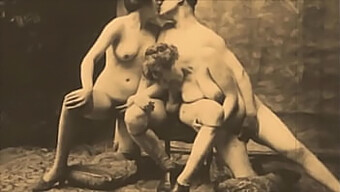 Vintage Threesome With Hairy Beauties